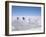 Hand-Working in Colchani Salt Pans, Salar De Uyuni, Salt Flat, Southwest Highlands, Bolivia-Tony Waltham-Framed Photographic Print