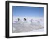 Hand-Working in Colchani Salt Pans, Salar De Uyuni, Salt Flat, Southwest Highlands, Bolivia-Tony Waltham-Framed Photographic Print