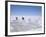 Hand-Working in Colchani Salt Pans, Salar De Uyuni, Salt Flat, Southwest Highlands, Bolivia-Tony Waltham-Framed Photographic Print