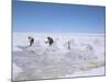 Hand-Working in Colchani Salt Pans, Salar De Uyuni, Salt Flat, Southwest Highlands, Bolivia-Tony Waltham-Mounted Photographic Print