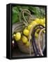 Handbag with Lemons, Positano, Amalfi Coast, Campania, Italy-Walter Bibikow-Framed Stretched Canvas