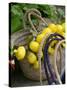 Handbag with Lemons, Positano, Amalfi Coast, Campania, Italy-Walter Bibikow-Stretched Canvas