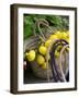 Handbag with Lemons, Positano, Amalfi Coast, Campania, Italy-Walter Bibikow-Framed Photographic Print