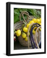 Handbag with Lemons, Positano, Amalfi Coast, Campania, Italy-Walter Bibikow-Framed Photographic Print