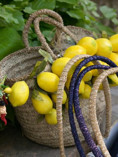 'Handbag with Lemons, Positano, Amalfi Coast, Campania, Italy ...