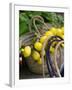 Handbag with Lemons, Positano, Amalfi Coast, Campania, Italy-Walter Bibikow-Framed Photographic Print