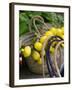 Handbag with Lemons, Positano, Amalfi Coast, Campania, Italy-Walter Bibikow-Framed Photographic Print