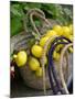 Handbag with Lemons, Positano, Amalfi Coast, Campania, Italy-Walter Bibikow-Mounted Photographic Print