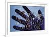 Handful of Microelectronic Parts-Fritz Goro-Framed Giclee Print