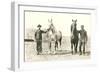Handlers with Sturdy Horses-null-Framed Premium Giclee Print