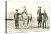Handlers with Sturdy Horses-null-Stretched Canvas