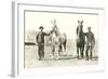 Handlers with Sturdy Horses-null-Framed Art Print