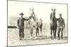 Handlers with Sturdy Horses-null-Mounted Art Print