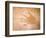 Handprint, Aboriginal Paintings, Raft Point, The Kimberly, Australia-Connie Bransilver-Framed Photographic Print