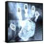 Handprint Forensics-PASIEKA-Framed Stretched Canvas