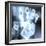 Handprint Forensics-PASIEKA-Framed Premium Photographic Print