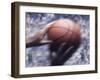 Hands Grabbing a Basketball-null-Framed Photographic Print
