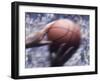 Hands Grabbing a Basketball-null-Framed Photographic Print