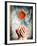 Hands Holding a Gerbera Daisy-Colin Anderson-Framed Photographic Print