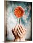 Hands Holding a Gerbera Daisy-Colin Anderson-Mounted Photographic Print