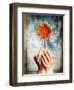 Hands Holding a Gerbera Daisy-Colin Anderson-Framed Photographic Print