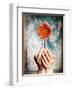 Hands Holding a Gerbera Daisy-Colin Anderson-Framed Photographic Print