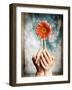 Hands Holding a Gerbera Daisy-Colin Anderson-Framed Photographic Print