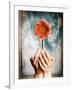 Hands Holding a Gerbera Daisy-Colin Anderson-Framed Photographic Print