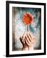 Hands Holding a Gerbera Daisy-Colin Anderson-Framed Photographic Print