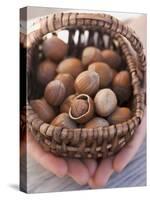Hands Holding Basket of Hazelnuts-null-Stretched Canvas