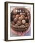 Hands Holding Basket of Hazelnuts-null-Framed Photographic Print