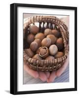 Hands Holding Basket of Hazelnuts-null-Framed Photographic Print