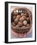 Hands Holding Basket of Hazelnuts-null-Framed Photographic Print