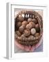 Hands Holding Basket of Hazelnuts-null-Framed Photographic Print