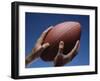 Hands Holding Football with Blue Background-null-Framed Photographic Print