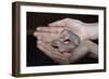 Hands Holding Infant Prairie Dogs-W. Perry Conway-Framed Photographic Print