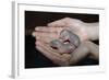 Hands Holding Infant Prairie Dogs-W. Perry Conway-Framed Photographic Print