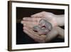 Hands Holding Infant Prairie Dogs-W. Perry Conway-Framed Photographic Print