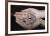 Hands Holding Infant Prairie Dogs-W. Perry Conway-Framed Photographic Print