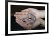 Hands Holding Infant Prairie Dogs-W. Perry Conway-Framed Photographic Print