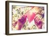 Hands Holding Paper Heart. Instagram Effect-soupstock-Framed Photographic Print