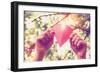 Hands Holding Paper Heart. Instagram Effect-soupstock-Framed Photographic Print