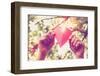 Hands Holding Paper Heart. Instagram Effect-soupstock-Framed Photographic Print