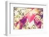 Hands Holding Paper Heart. Instagram Effect-soupstock-Framed Photographic Print