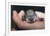 Hands Holding Prairie Dog Pup-W. Perry Conway-Framed Photographic Print