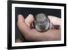 Hands Holding Prairie Dog Pup-W. Perry Conway-Framed Photographic Print