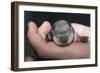 Hands Holding Prairie Dog Pup-W. Perry Conway-Framed Photographic Print