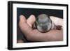 Hands Holding Prairie Dog Pup-W. Perry Conway-Framed Photographic Print