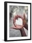 Hands Holding Rice-soupstock-Framed Photographic Print