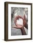 Hands Holding Rice-soupstock-Framed Photographic Print